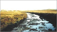 Construction of a permanent stone access track through a peat bog, utilising local materials.