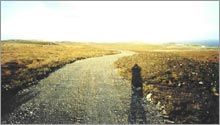 Construction of a permanent stone access track through a peat bog, utilising local materials.